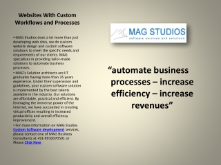 Custom Software Development - MAG Studios