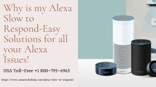 Is Your Alexa Slow to Respond -Call 1-8007956963 Alexa Not Responding to Voice Commands