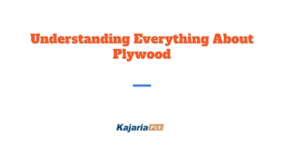 Understanding Everything About Plywood