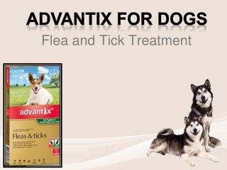 Buy Advantix for Dogs | Advantix Flea & Tick Treatment For Dogs