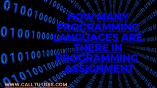 How Many Programming Languages Are There In Programming Assignment