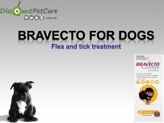 Bravecto for Dogs - Flea and Tick Control