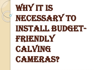 Benefits of Installing the Calving Cameras