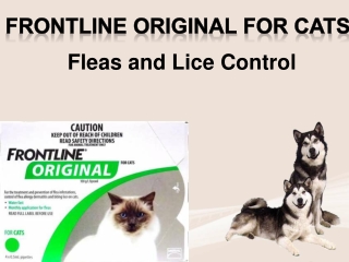 Buy Frontline Original for Cats - Fleas and Lice Treatment
