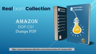 DOP-C01 Exam Questions PDF - Amazon DOP-C01 Top Dumps