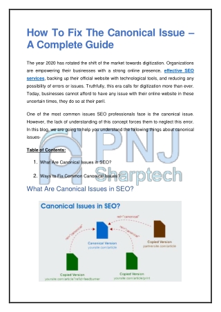 How To Fix The Canonical Issue