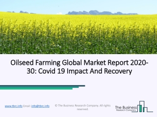 Oilseed Farming Market Industry Growth, Outlook, Demand, Key player Analysis and Opportunity