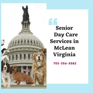 Senior Day Care Services in McLean Virginia