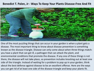 Benedict T. Palen, Jr - Ways To Keep Your Plants Disease-Free And Fit