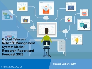 Telecom Network Management System Market PDF: Global Size, Share, Trends, Analysis, Growth & Forecast to 2020-2025