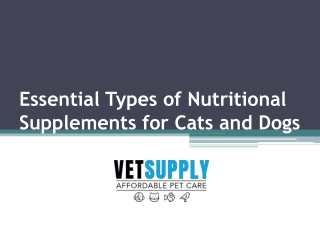 Essential Types of Nutritional Supplements for Cats and Dogs