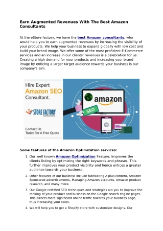 Earn Augmented Revenues With The Best Amazon Consultants