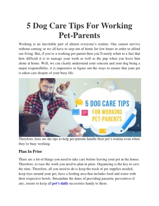 5 Dog Care Tips For Working Pet-Parents