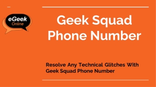 Geek Squad Phone Number