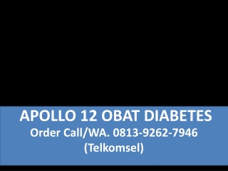 Obat Diabetes Melitus Alami APOLLO 12 0813 9262 7946