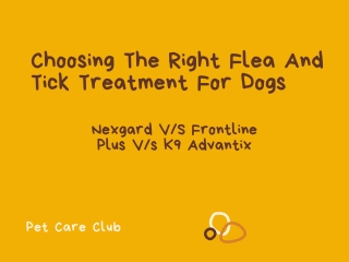 Choosing The Right Flea And Tick Treatment For Dogs - Nexgard Vs Frontline Plus Vs K9 Advantix