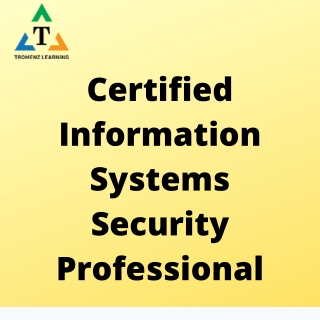 CISSP Training Key Features