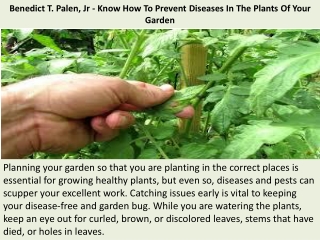 Benedict T. Palen, Jr - Know How To Prevent Diseases In The Plants Of Your Garden