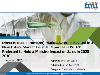 Direct Reduced Iron (DRI) Market