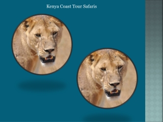 Kenya coast tour safaris
