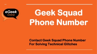 Geek Squad Phone Number