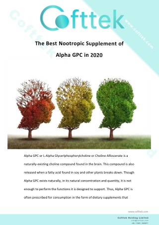 The Best Nootropic Supplement of Alpha GPC