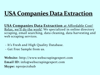USA Companies Data Extraction
