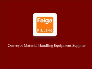 Conveyor Material Handling Equipment