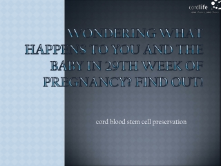 Wondering What happens to you and the baby in 29th week of pregnancy? Find out!