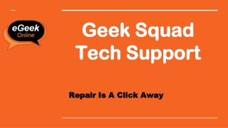 Geek Squad Tech Support