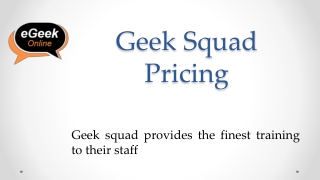 Geek Squad Pricing