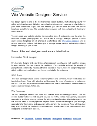 Wix Website Designer Service