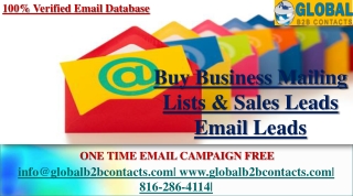 Business Mailing Lists & Sales Leads Email Leads
