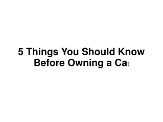5 Things Every Cat Owner Knows Before Owning a Cat