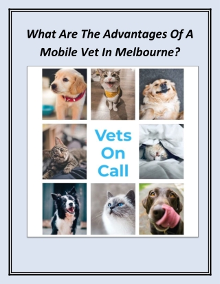 What Are The Advantages Of A Mobile Vet In Melbourne?