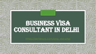 Business visa consultant in Delhi