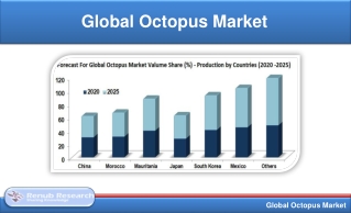 Global Octopus Market is Expected to Reach 624,490 Metric Tons by 2025