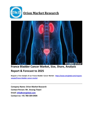 France Bladder Cancer Market Size, Industry Trends, Share and Forecast 2020-2026
