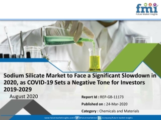 Sodium Silicate Market