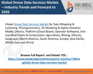 Drone data services market