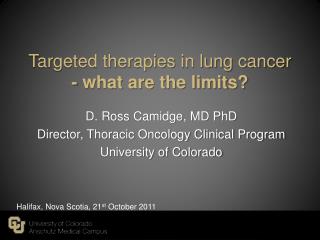 Targeted therapies in lung cancer - what are the limits?