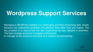 How WordPress Support Services Can Take Care of Your Site’s Wellbeing?