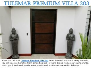 Tulemar Premium Villa 203