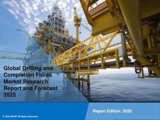 Drilling and Completion Fluids Market PDF: Global Size, Share, Trends, Analysis, Growth & Forecast to 2020-2025