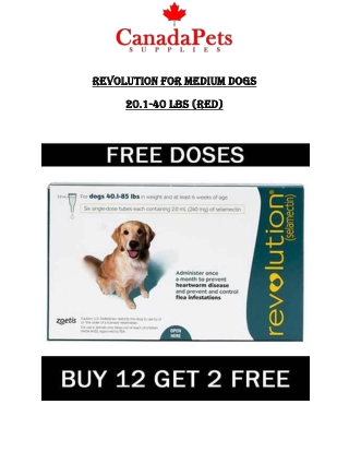 Revolution for Large Dogs 40.1-85lbs (Green) - CanadaPetsSupplies
