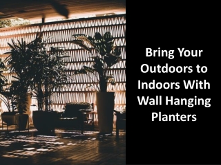 Bring Your Outdoors to Indoors With Wall Hanging Planters