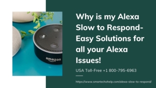 Alexa Slow to Respond 1-8007956963 Alexa Does Not Respond -Call Now