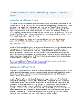 Levulinic Acid Market Size By Application, By Geographic Scope And Forecast