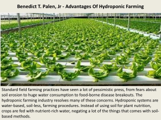 Benedict T. Palen, Jr - Advantages Of Hydroponic Farming