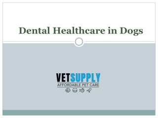 Dental Healthcare in Dogs